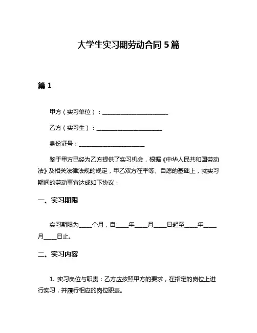 大学生实习期劳动合同5篇