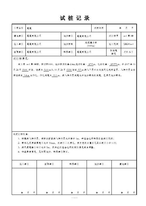 旋挖灌注桩试桩记录