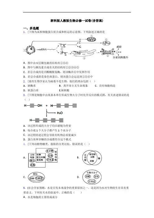 浙科版人教版生物必修一试卷(含答案)