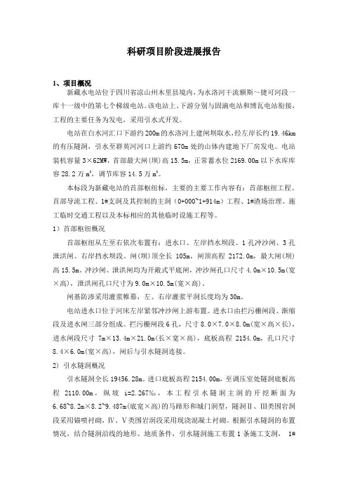科研项目阶段进展报告