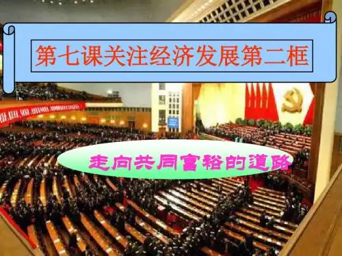九年级政治走向共同富裕的道路