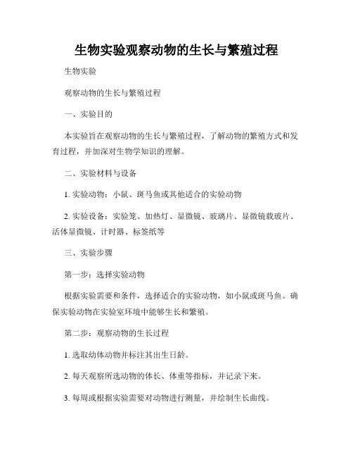 生物实验观察动物的生长与繁殖过程