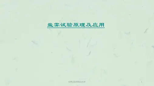 盐雾试验原理及应用课件