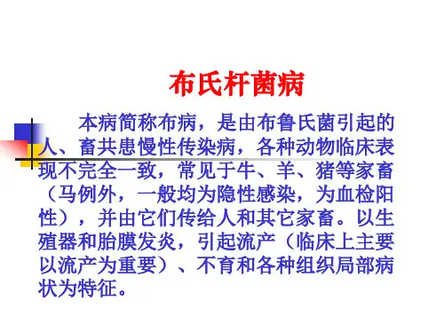 布氏杆菌病
