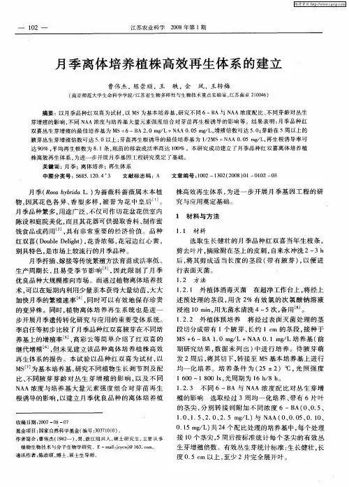 月季离体培养植株高效再生体系的建立