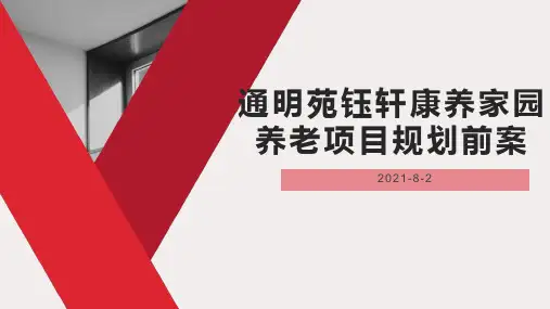 养老项目规划前案(2)
