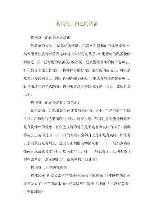狗狗身上白色的跳蚤