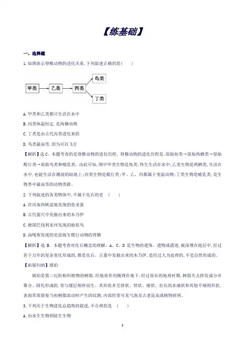 苏教版生物八年级上册5.16.2生物进化的历程同步训练题(解析版)