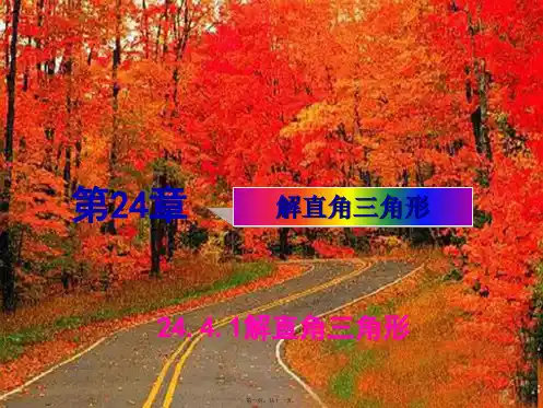 九年级数学上册 第24章 解直角三角形24.4 解直角三角形第1课时 解直角三角形备选课件