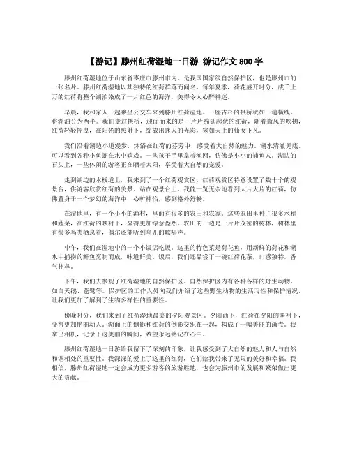 【游记】滕州红荷湿地一日游 游记作文800字
