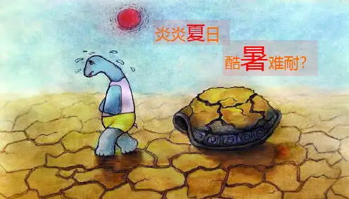 房地产啤酒龙虾节-活动方案