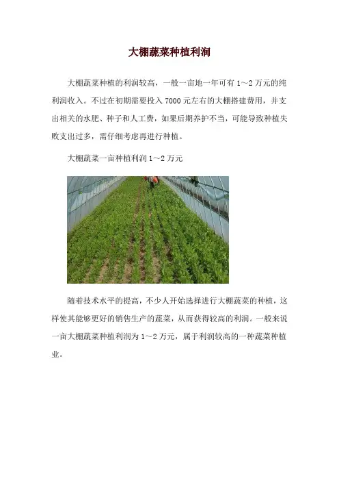 大棚蔬菜种植利润