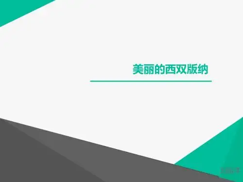美丽的西双版纳