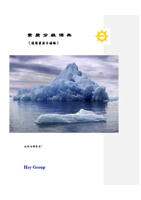 02Hay全球通用素质模型(每人一份)