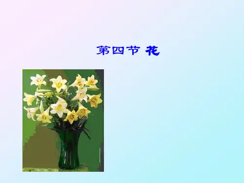 湖职院药用植物课件03植物器官-4花