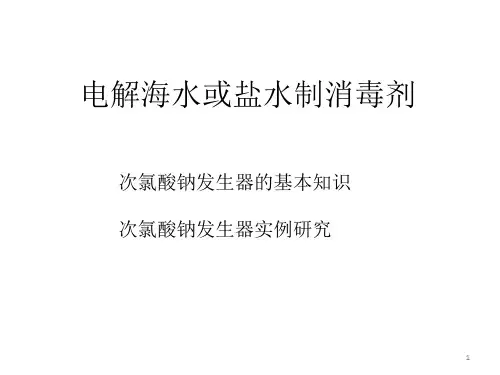 电解海水或盐水制消毒剂