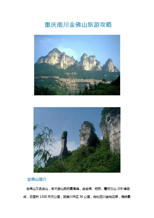 重庆南川金佛山旅游攻略