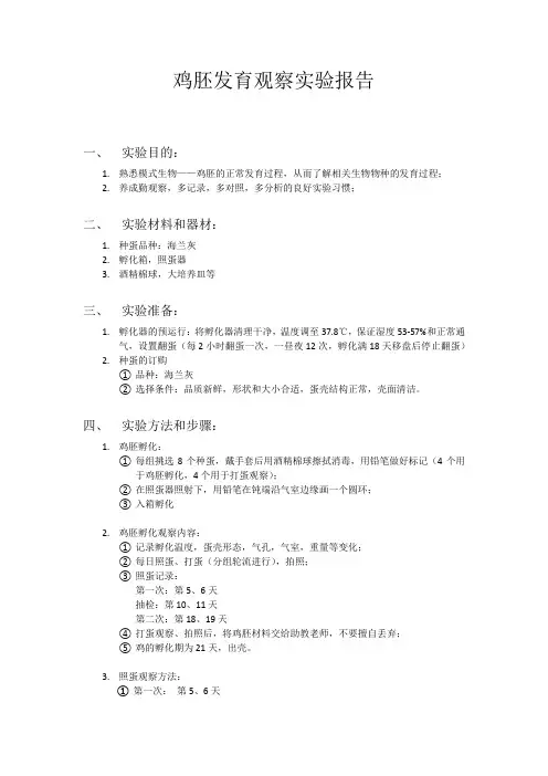 鸡胚发育观察实验报告