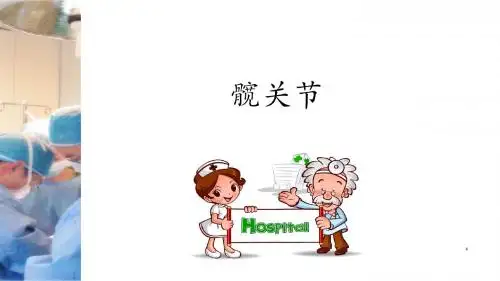 髋关节医学PPT课件