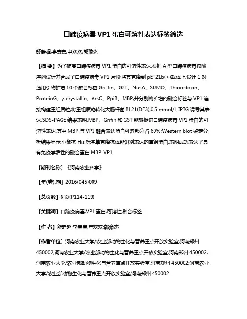 口蹄疫病毒VP1蛋白可溶性表达标签筛选
