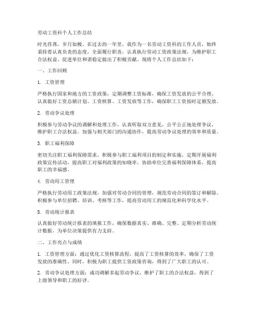劳动工资科个人工作总结