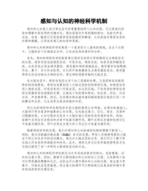 感知与认知的神经科学机制