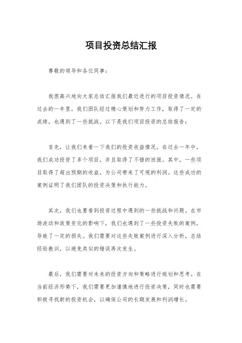 项目投资总结汇报