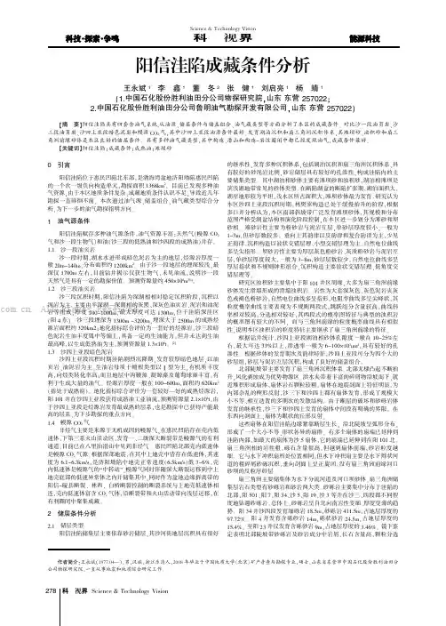 阳信洼陷成藏条件分析