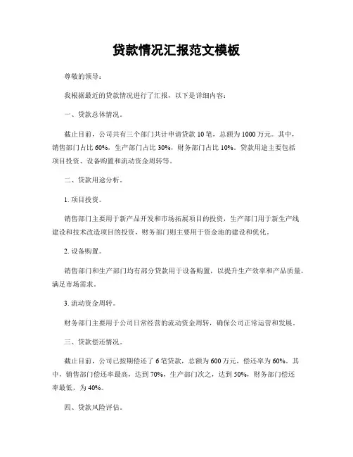 贷款情况汇报范文模板