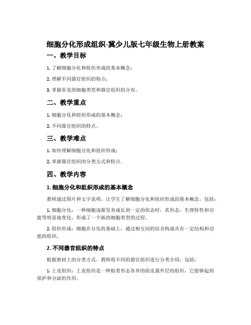 细胞分化形成组织-冀少儿版七年级生物上册教案