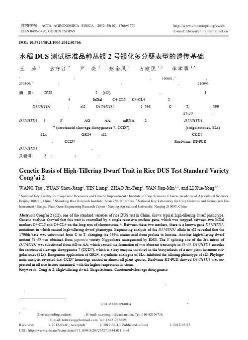 水稻DUS测试标准品种丛矮2号矮化多分蘖表型的遗传基础