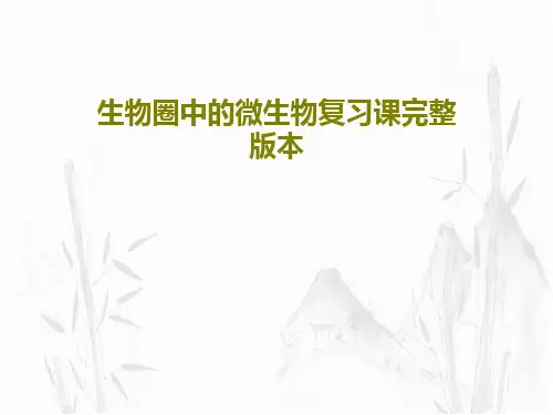 生物圈中的微生物复习课完整版本23页PPT