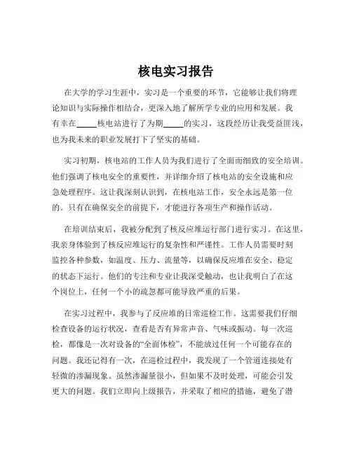 核电实习报告