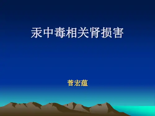 汞ppt