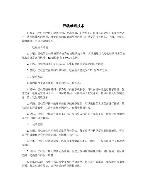 巴戟栽培技术
