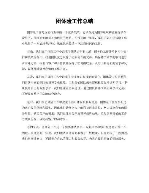 团体险工作总结