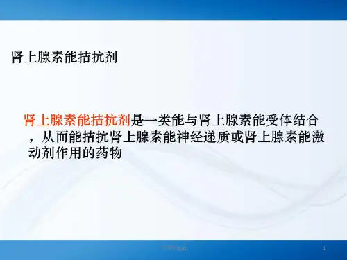 肾上腺素能受体