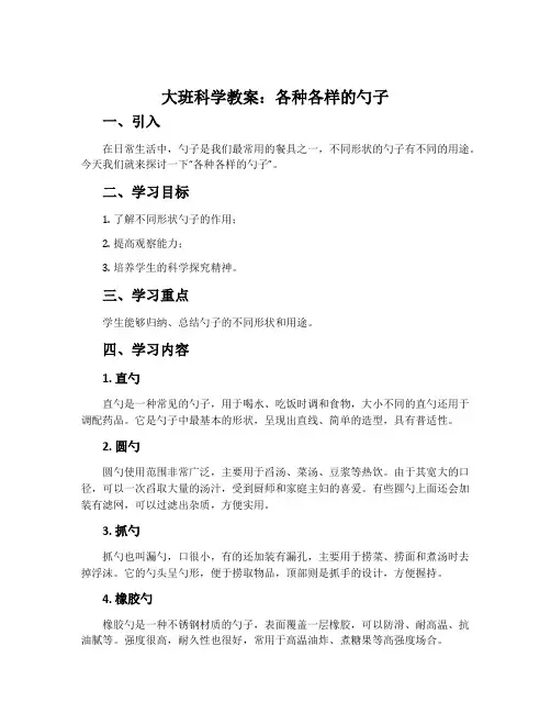 大班科学教案：各种各样的勺子
