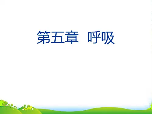 第五章呼吸-医学课件
