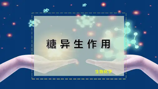 糖 异 生 作 用