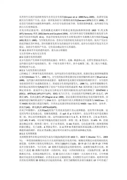 花的发育——精选推荐