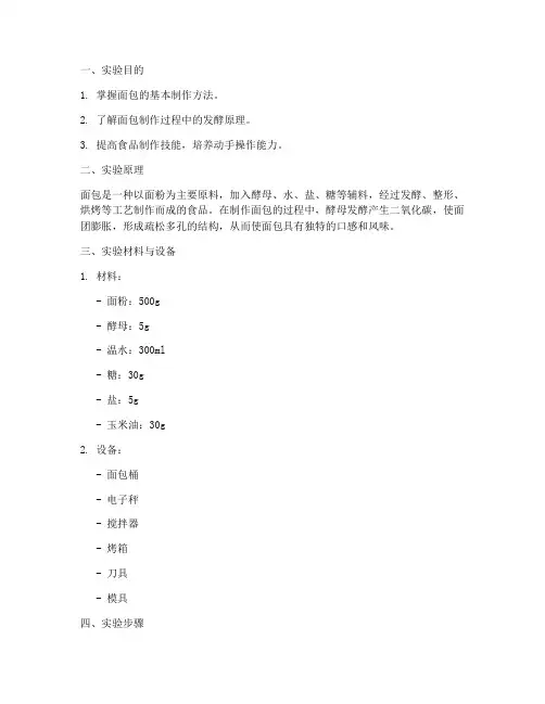 实验报告面包