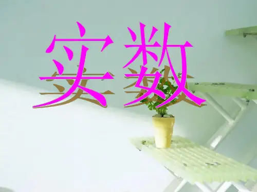 《实数》PPT课件(沪科版)2