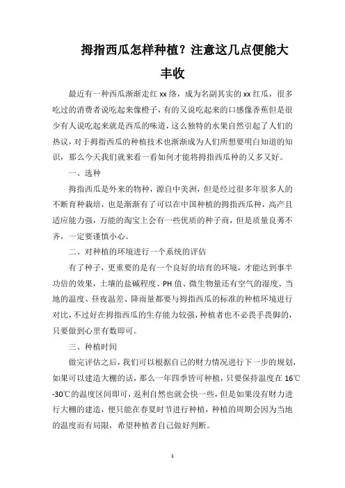 拇指西瓜怎样种植？注意这几点便能大丰收