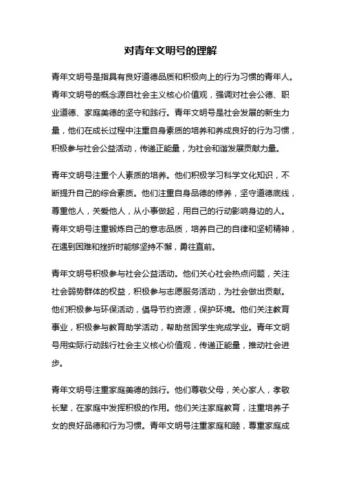 对青年文明号的理解