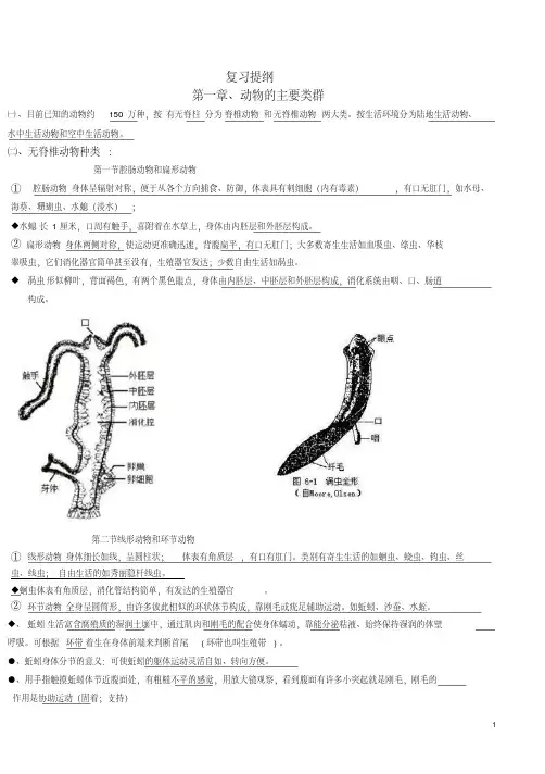 人教版八年级生物上册期末复习提纲附有图片