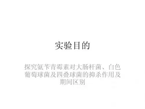 氨苄青霉素的PPT