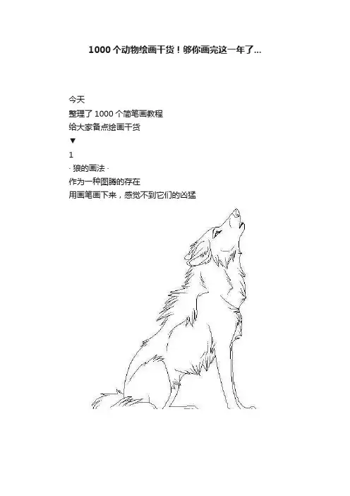 1000个动物绘画干货!够你画完这一年了...