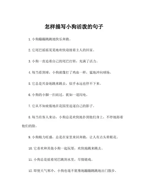 怎样描写小狗活泼的句子