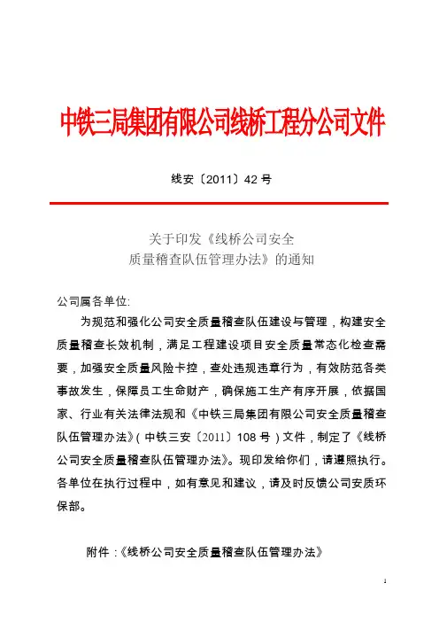 安全质量稽查队伍管理办法